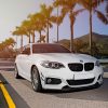 BMW 2-Series - Program F2X - Aero Canards - Image 5